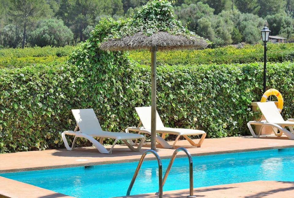 Patio, Garden, Garden view