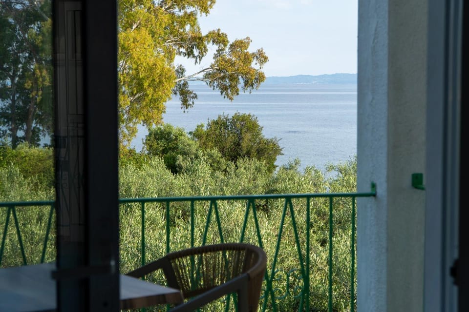 View (from property/room)