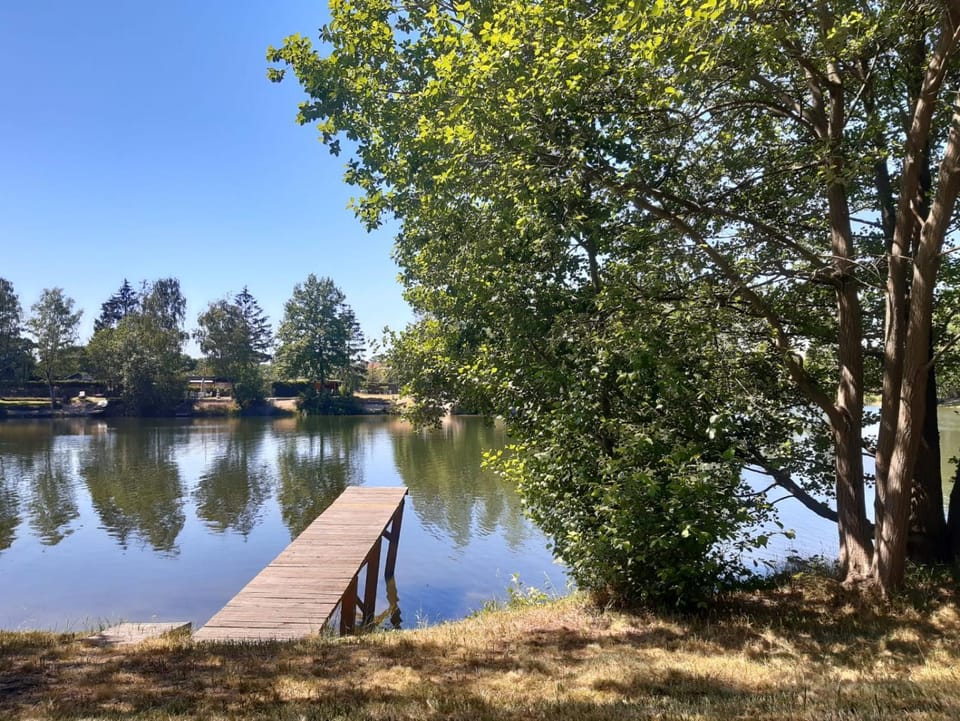 Lake view