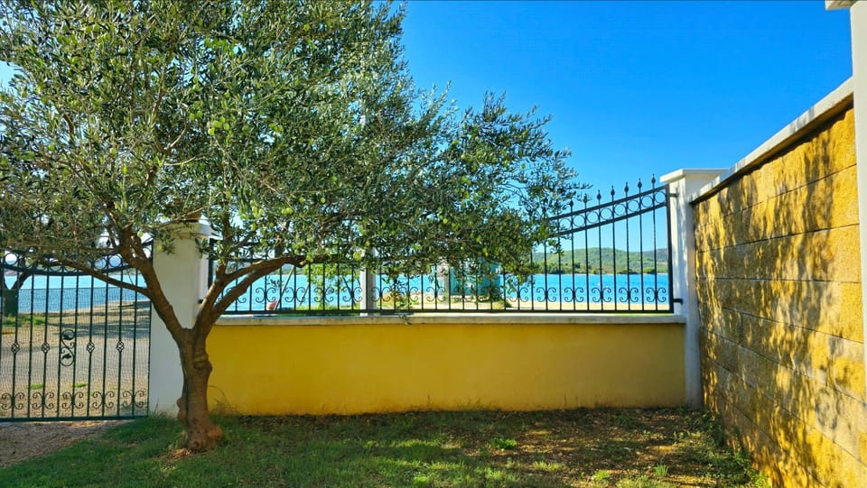 Garden, Garden view, Sea view