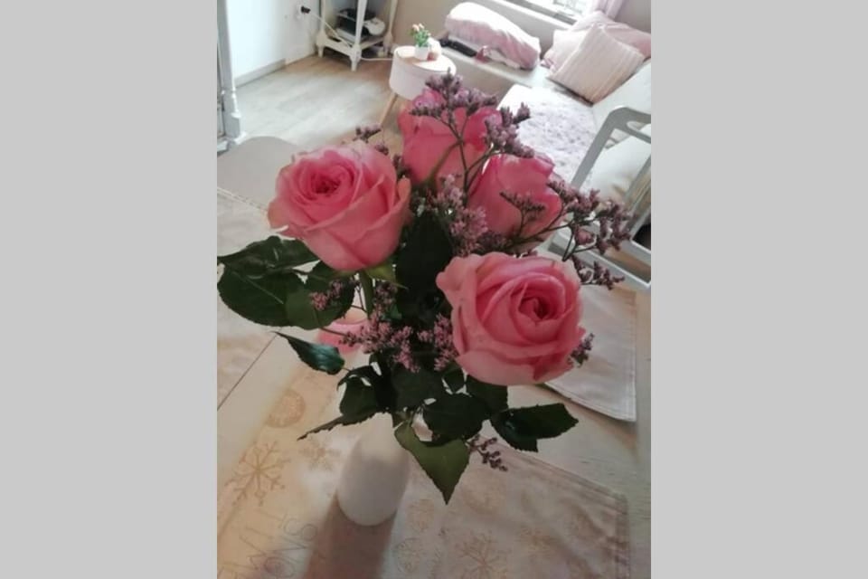 ländlich & gemütlich in Raeren mit 2 Schlafzimmern Apartment in Aachen