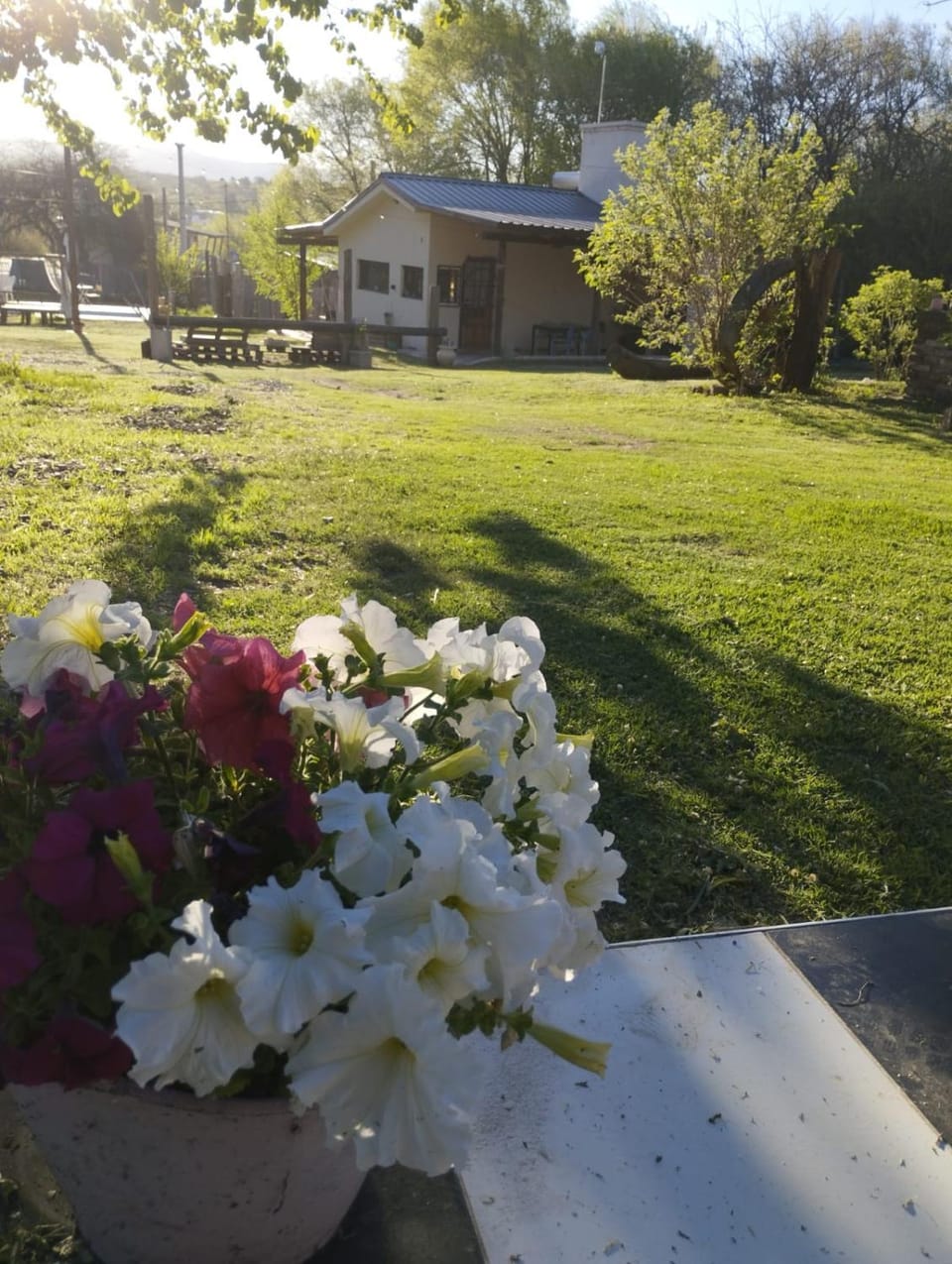 Property building, Day, Garden, Garden view