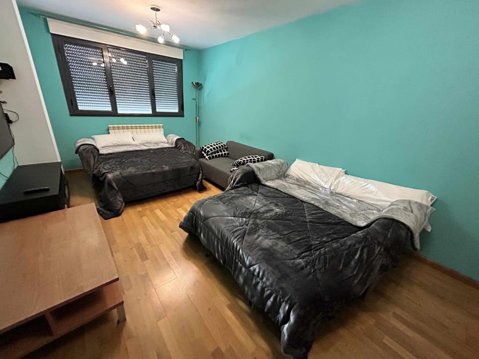 ESPACIOSO PISO LEON VUT-227 Apartment in León