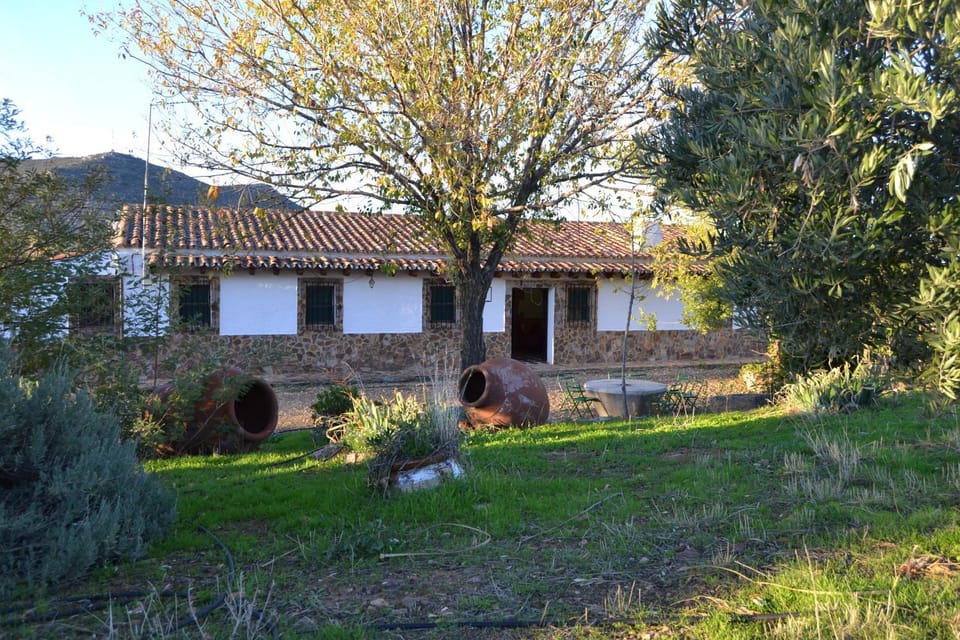 Facade/entrance, Garden