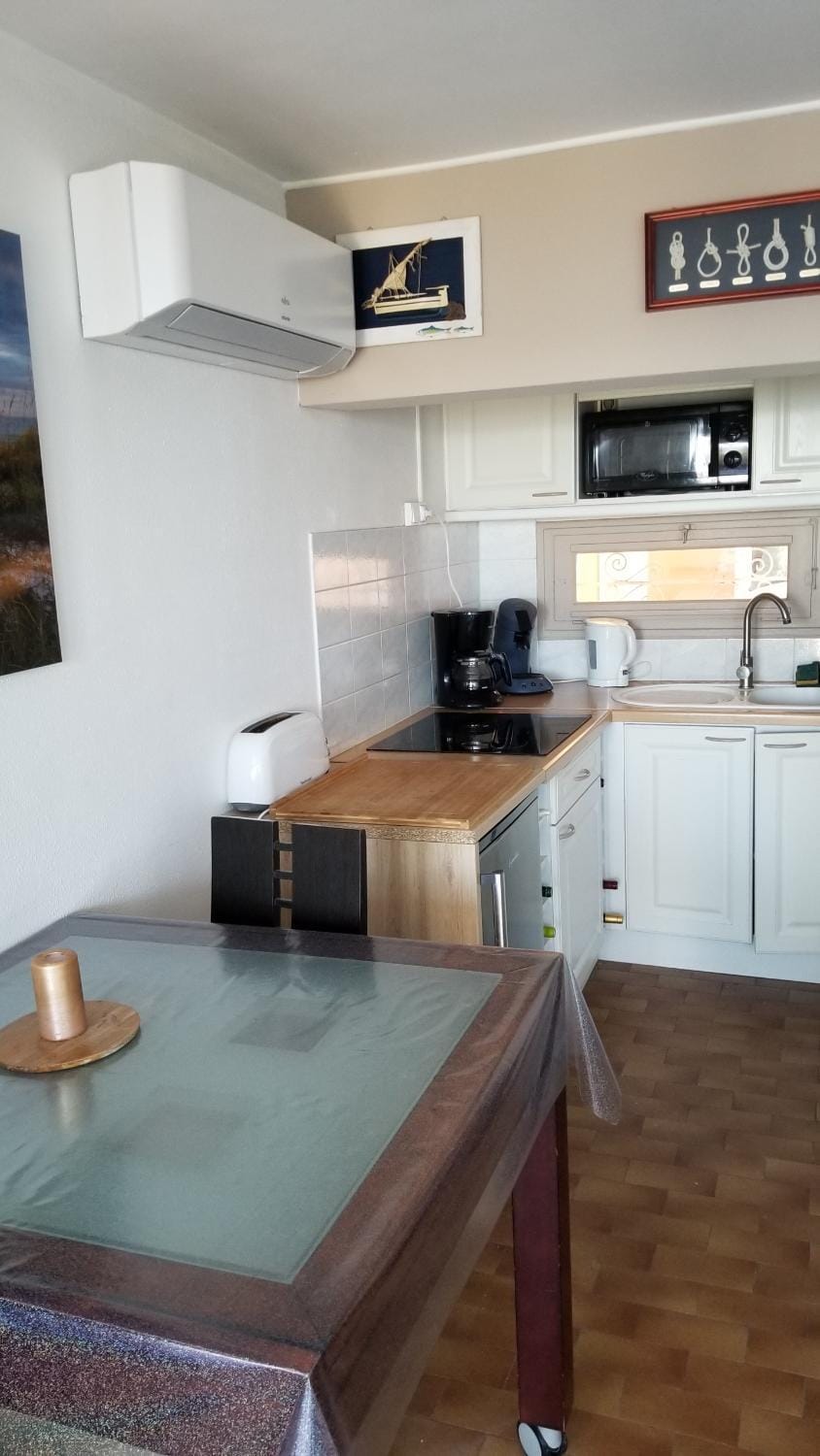 Charmant T2 pieds dans l'eau tout confort climatisé classé 2 étoiles tarif promotionnel pour curistes Apartment in Balaruc-les-Bains
