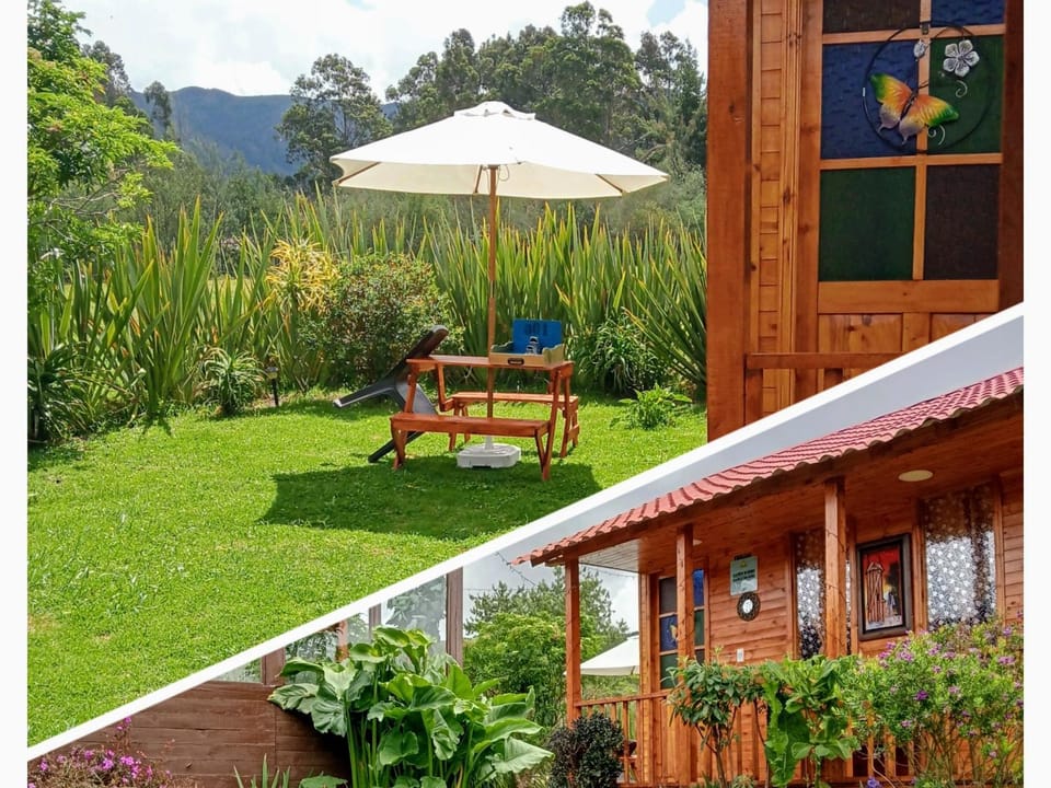 Patio, Spring, Natural landscape, Garden view