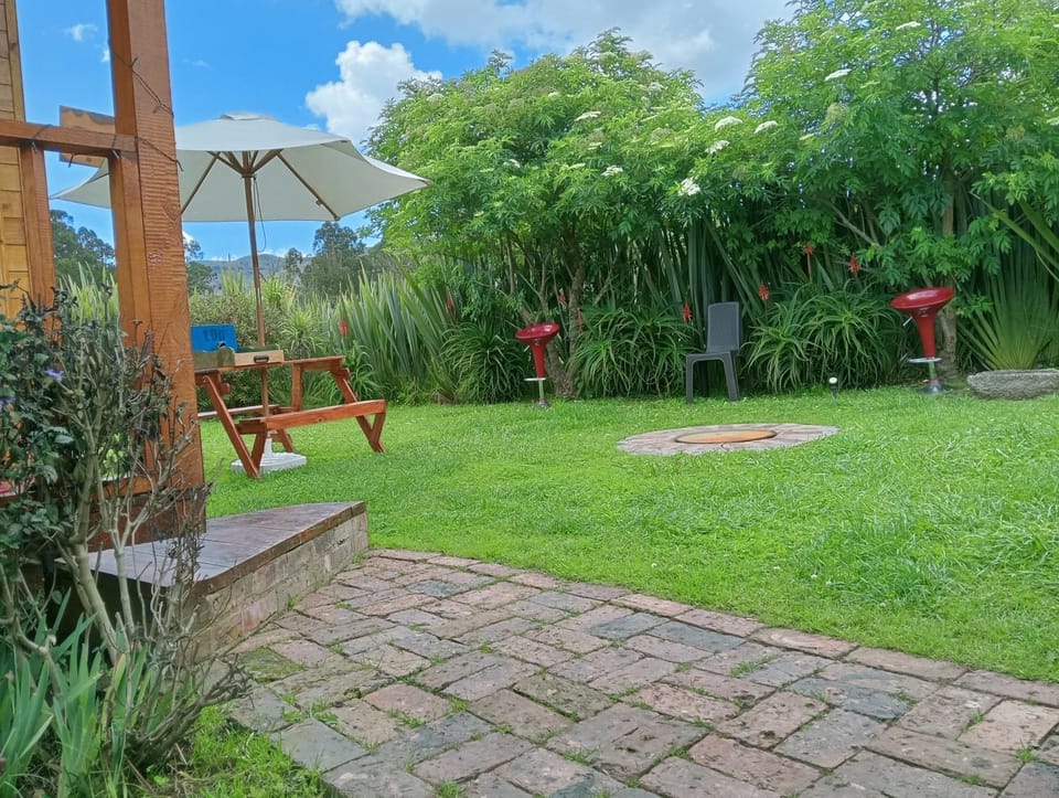 Patio, Day, Natural landscape