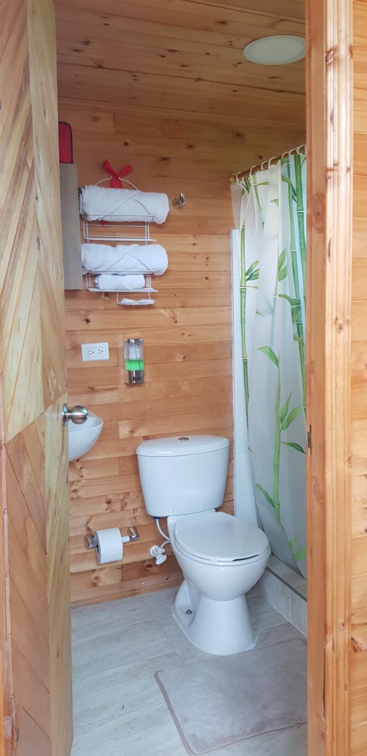 Toilet, Bathroom, towels