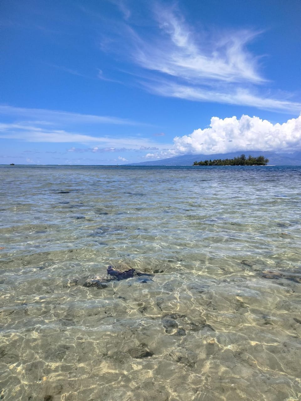 Natural landscape, Snorkeling, Beach, Sea view