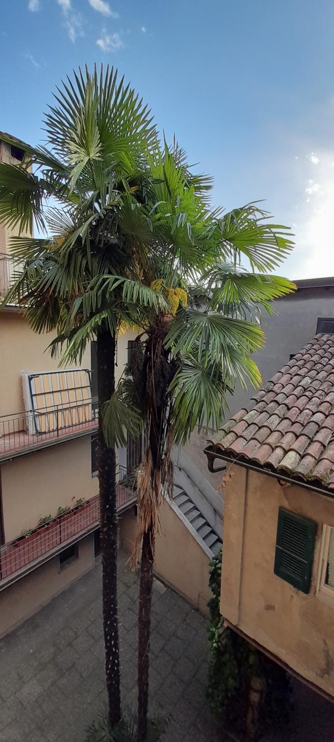 Anna's Home ☆ Apartment in Lugano