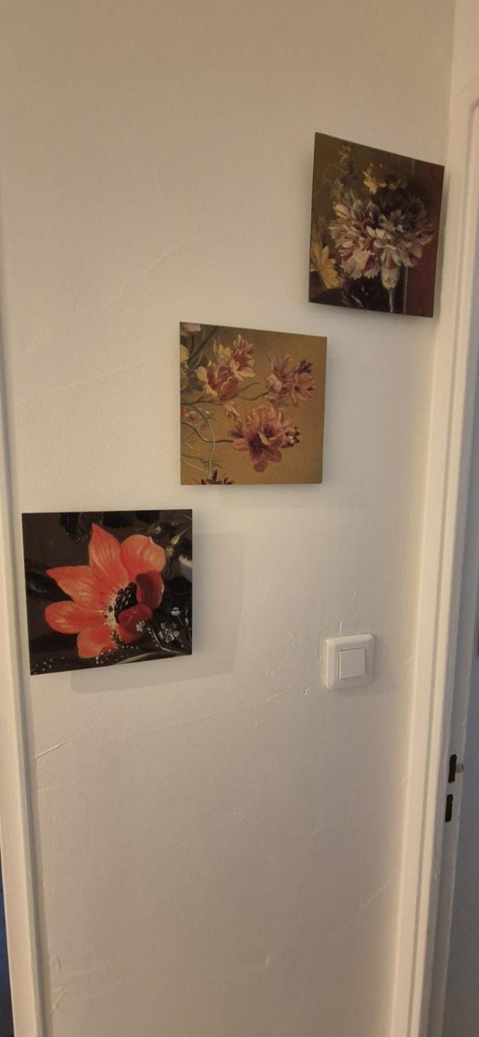 Cosy Rez jardin 1 chambre plage parking wifi Apartment in French Riviera