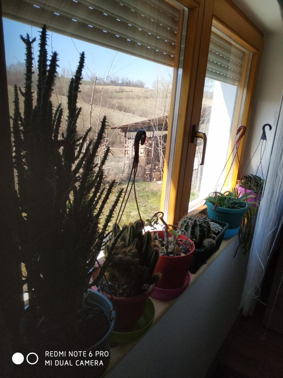 View (from property/room)