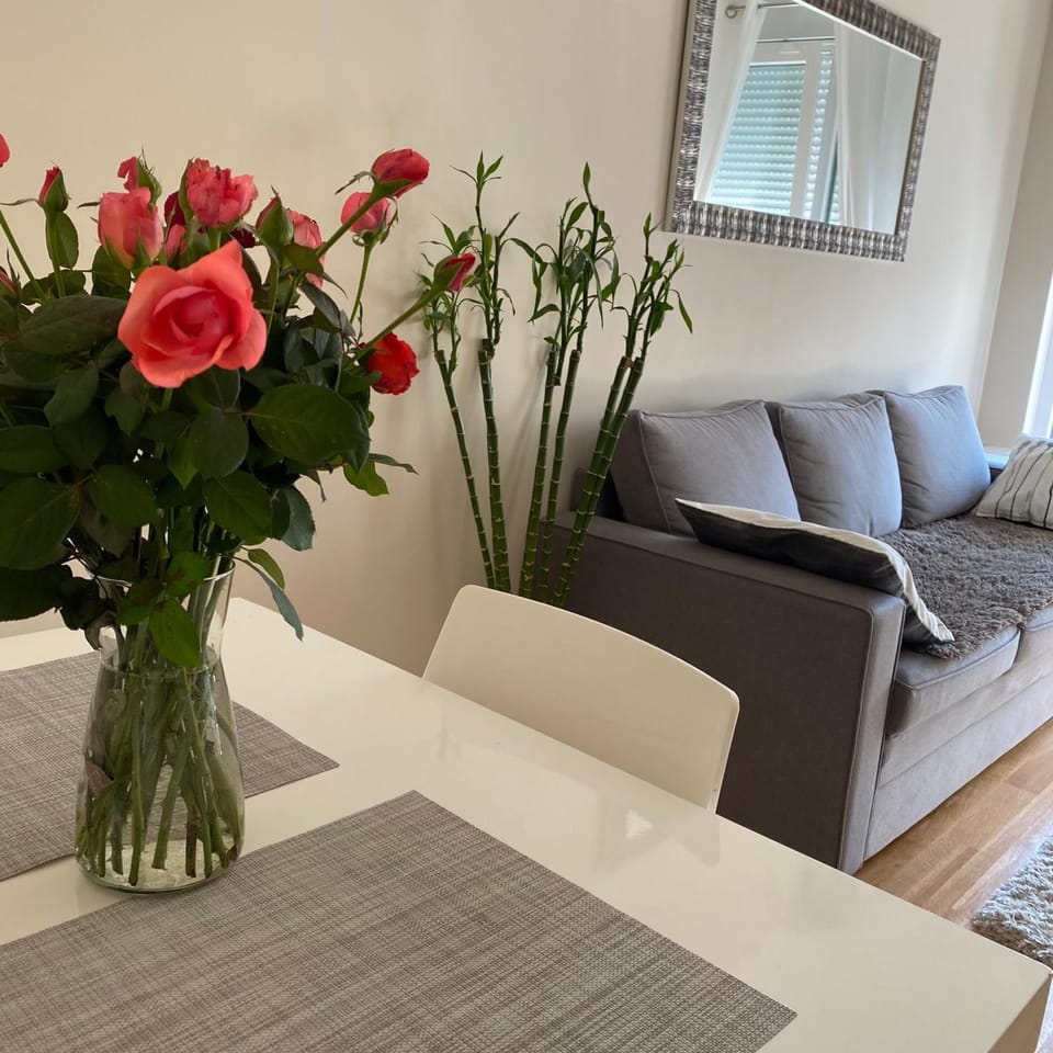 Marco’s home Apartment in Belgrade