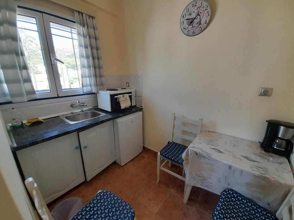 Kitchen or kitchenette, pet friendly