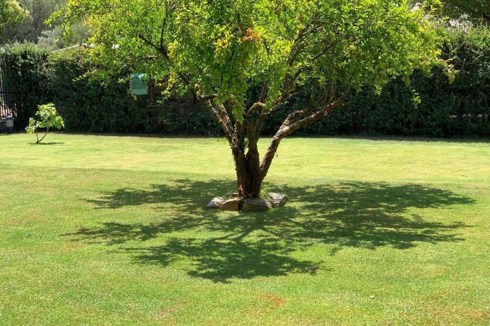 Garden, Garden view
