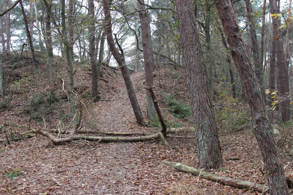 Camping het Smitske Campground/ 
RV Resort in North Brabant (province)