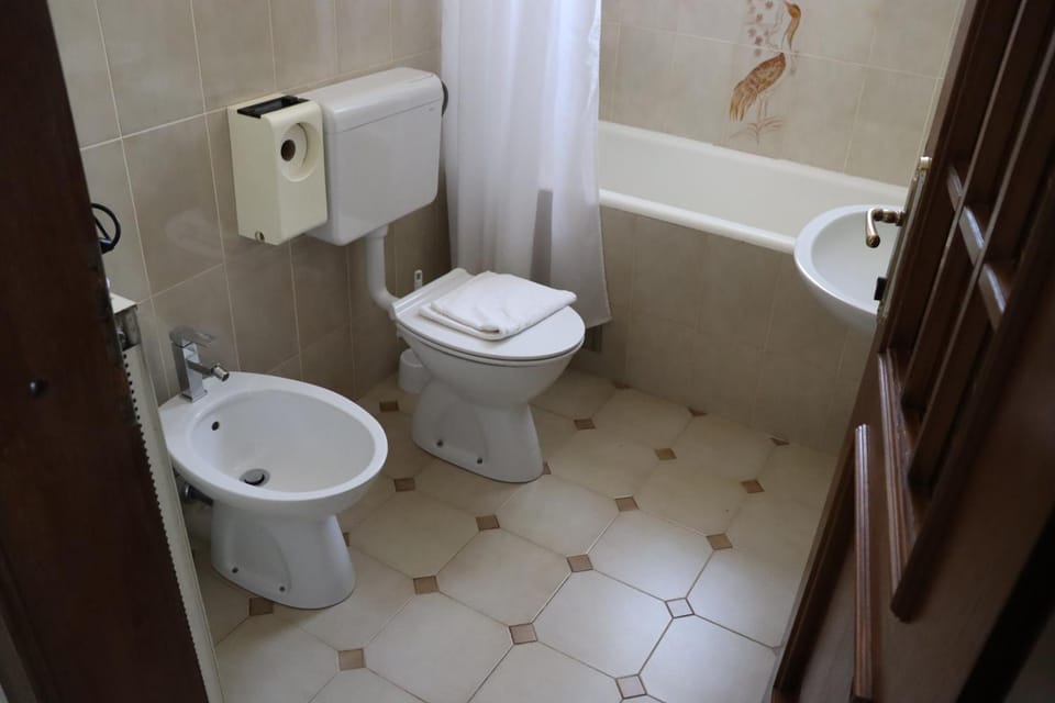 Toilet, Bathroom, Bath, bidet