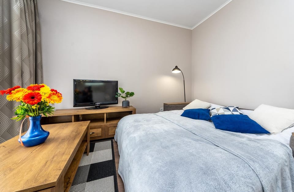 Bed, TV and multimedia, Photo of the whole room, Bedroom, hair dresser