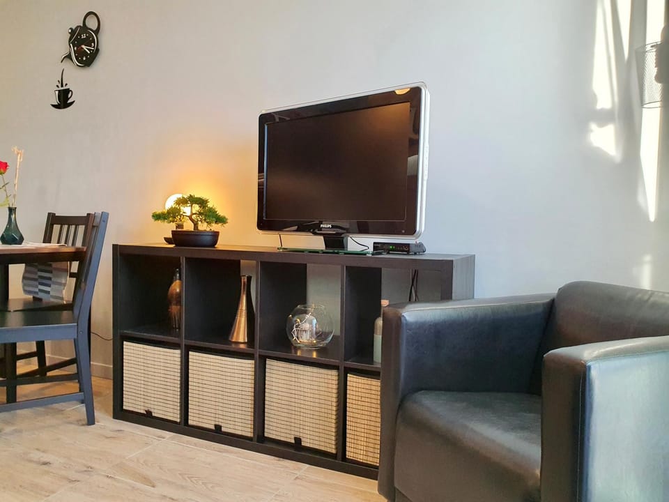TV and multimedia