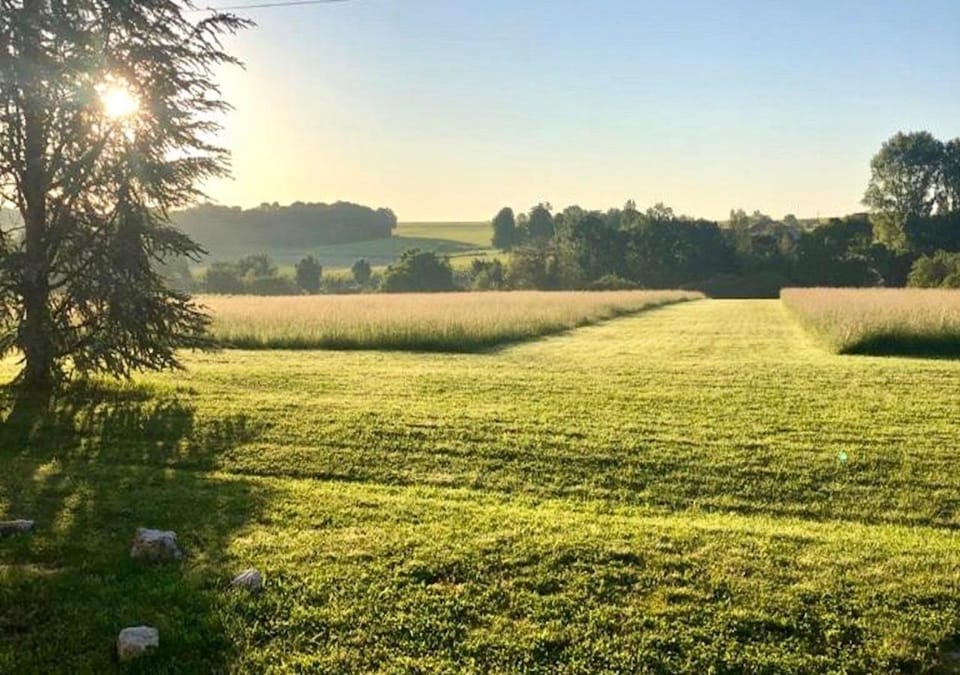 Garden view