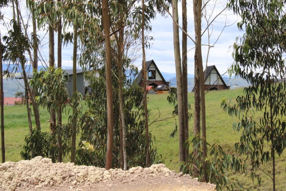 Cabañas Aiyana - Guatavita Campground/ 
RV Resort in Guatavita