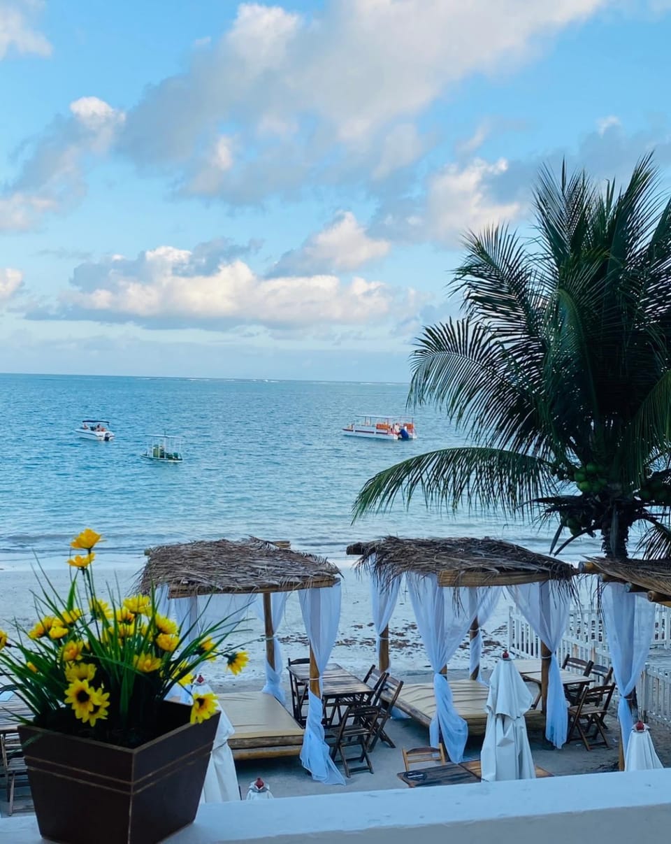 Barra lounge Bed and Breakfast in State of Alagoas, Brazil