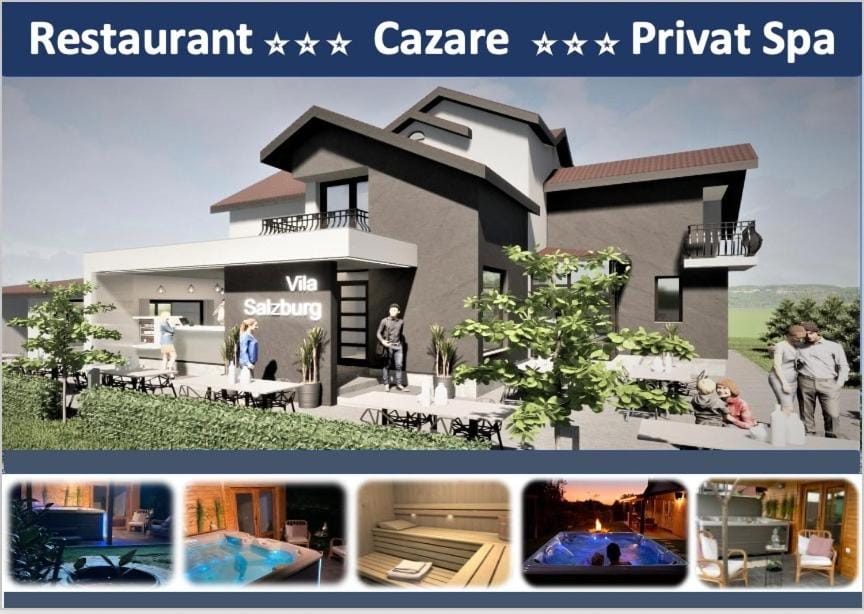 Vila Salzburg Bed and Breakfast in Romania