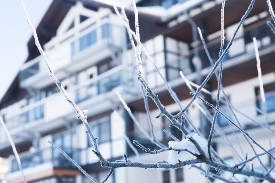 Property building, Winter