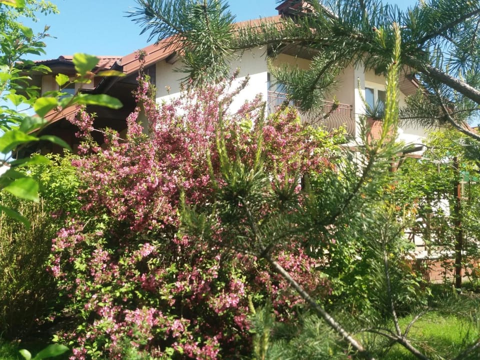 Domowe Zalesie Vacation rental in Masovian Voivodeship