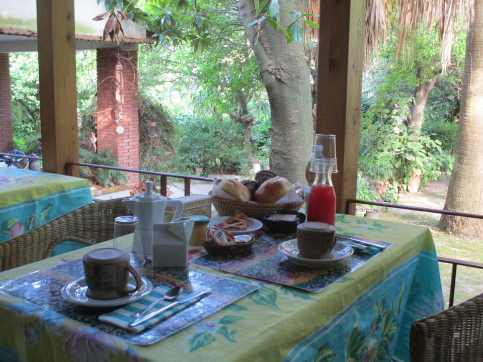 Spring, Day, Activities, Summer, Balcony/Terrace, Food, Garden view, Non alcoholic drinks