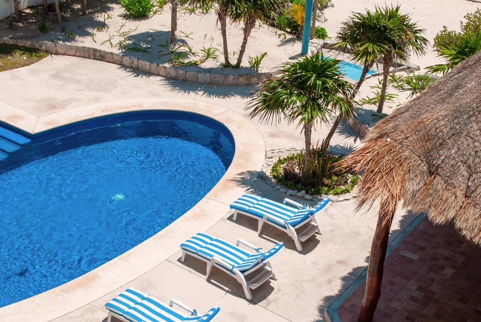 Day, Garden, Garden view, Pool view, Swimming pool, sunbed