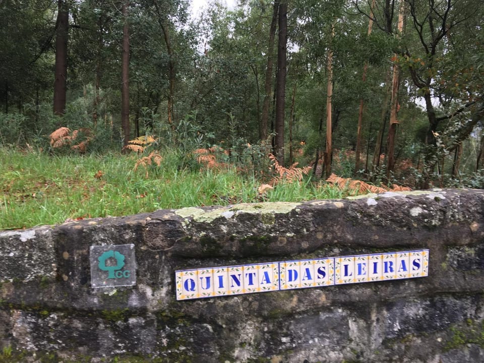Logo/Certificate/Sign