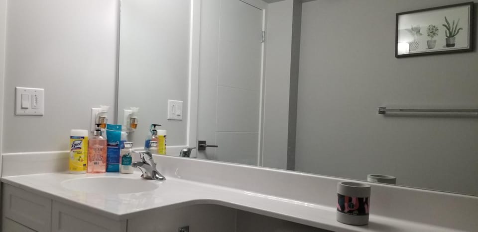 Luxurious 2 bedroom basement suite House in Winnipeg