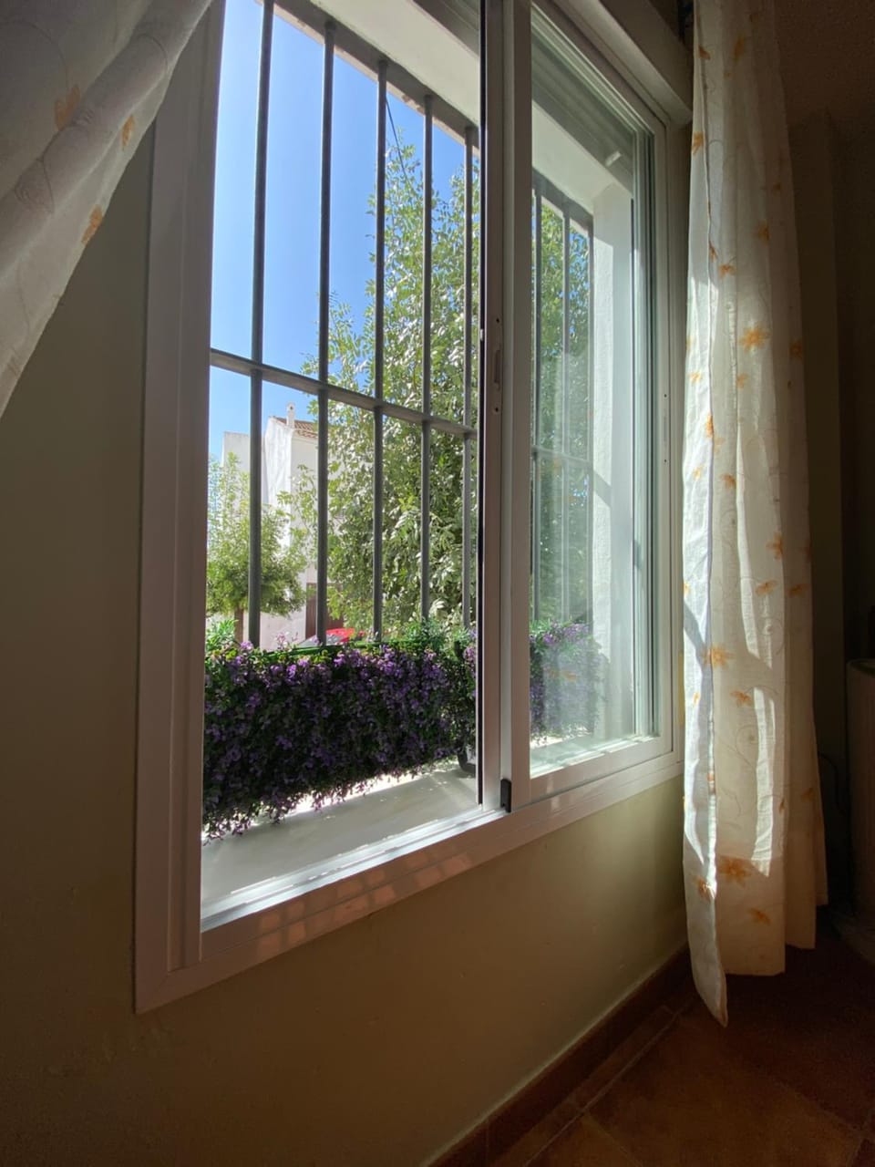 Garden view