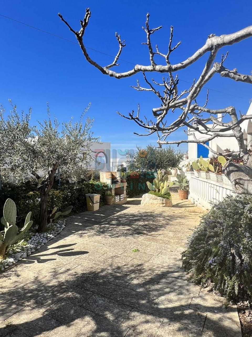 Facade/entrance, Spring, Day, Garden, Garden view