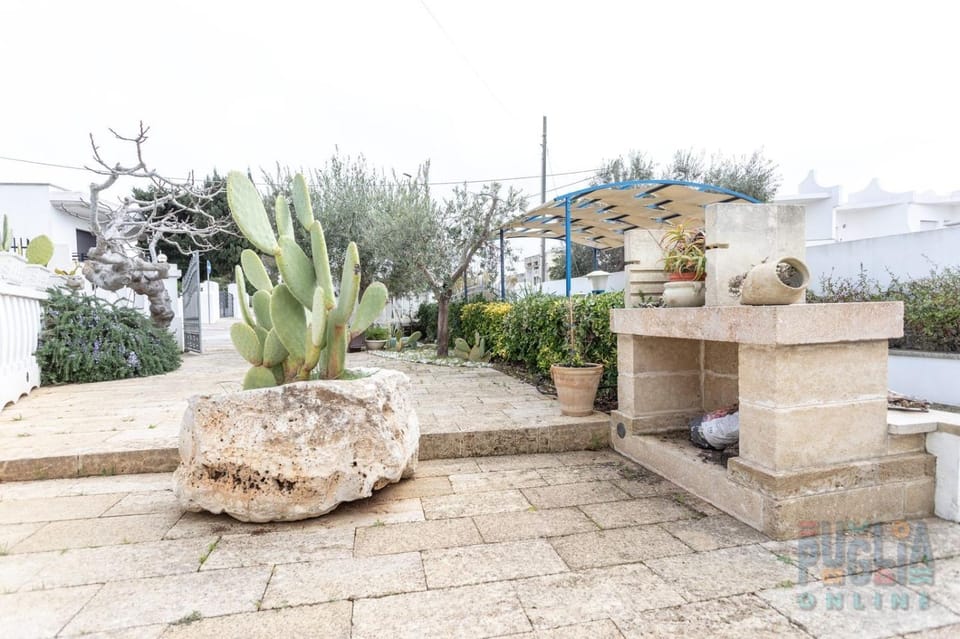 Day, Garden, Garden view