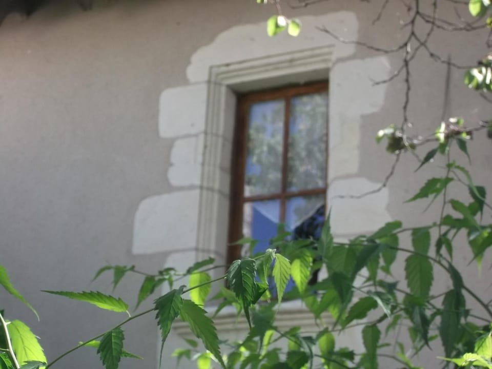 Property building, Spring, Garden