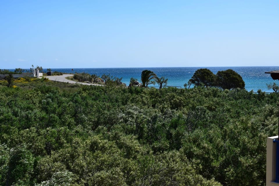 Coastal Charm-Getaway to Artichoke's Seaside Oasis Apartment in Lasithi