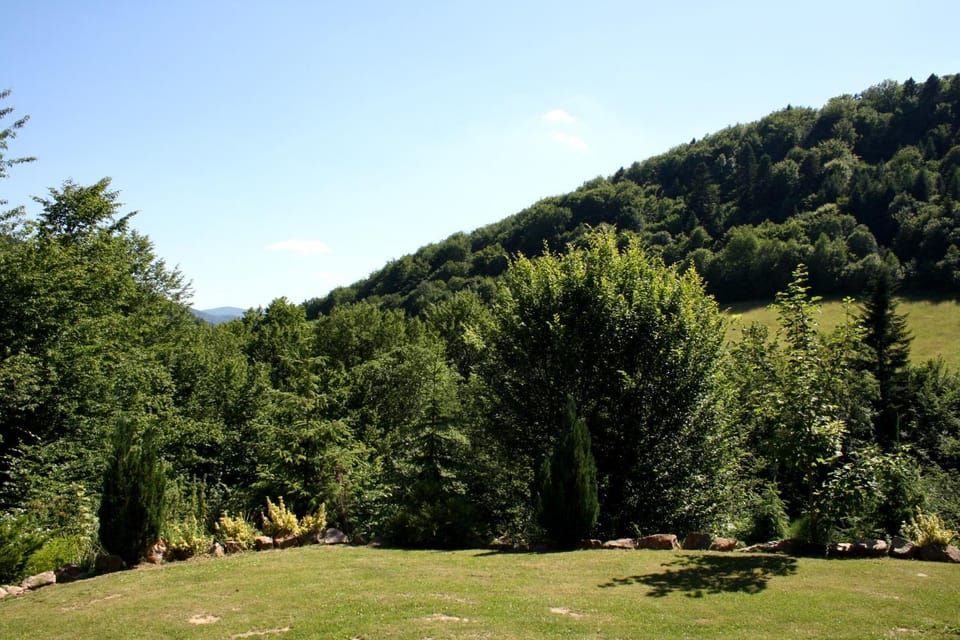Mountain view