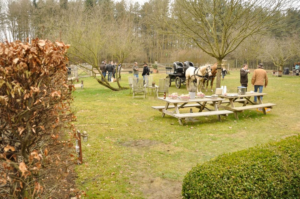 B&B Zinnen en Minnen Bed and Breakfast in Flanders