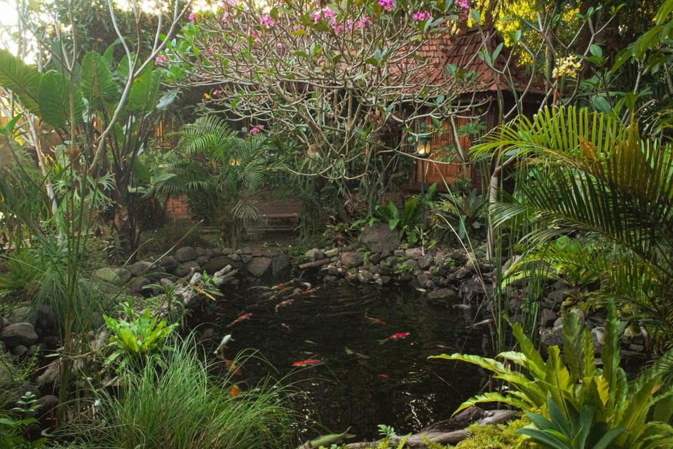 Natural landscape, Garden, Garden view