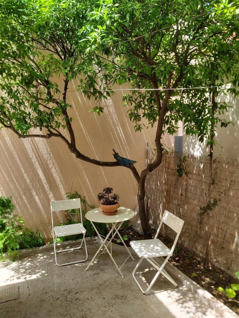 Patio, Garden, Balcony/Terrace