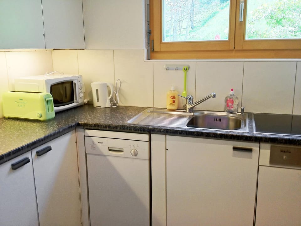 Fantastic view, cosy flat in chalet Bergfink Apartment in Grindelwald