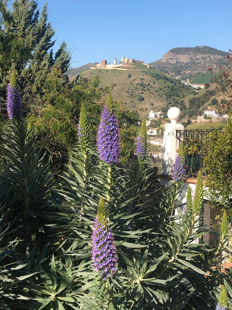 Nearby landmark