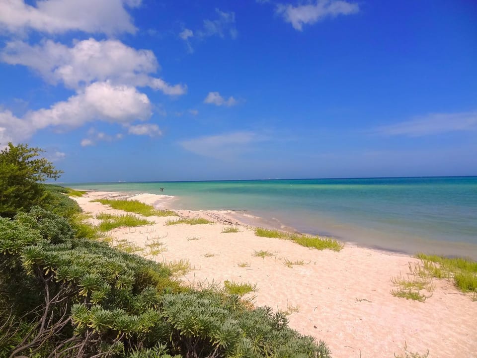 Lemnus Luxury villa walking distance to Chicxulub House in State of Yucatan