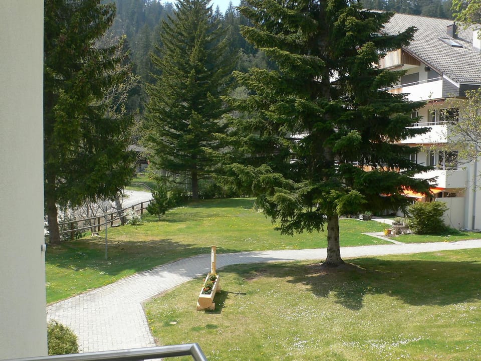 View (from property/room)