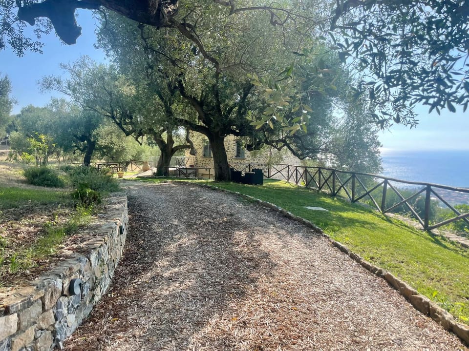 Casolare Cento Ulivi Luxury & Charme Apartment in Campania