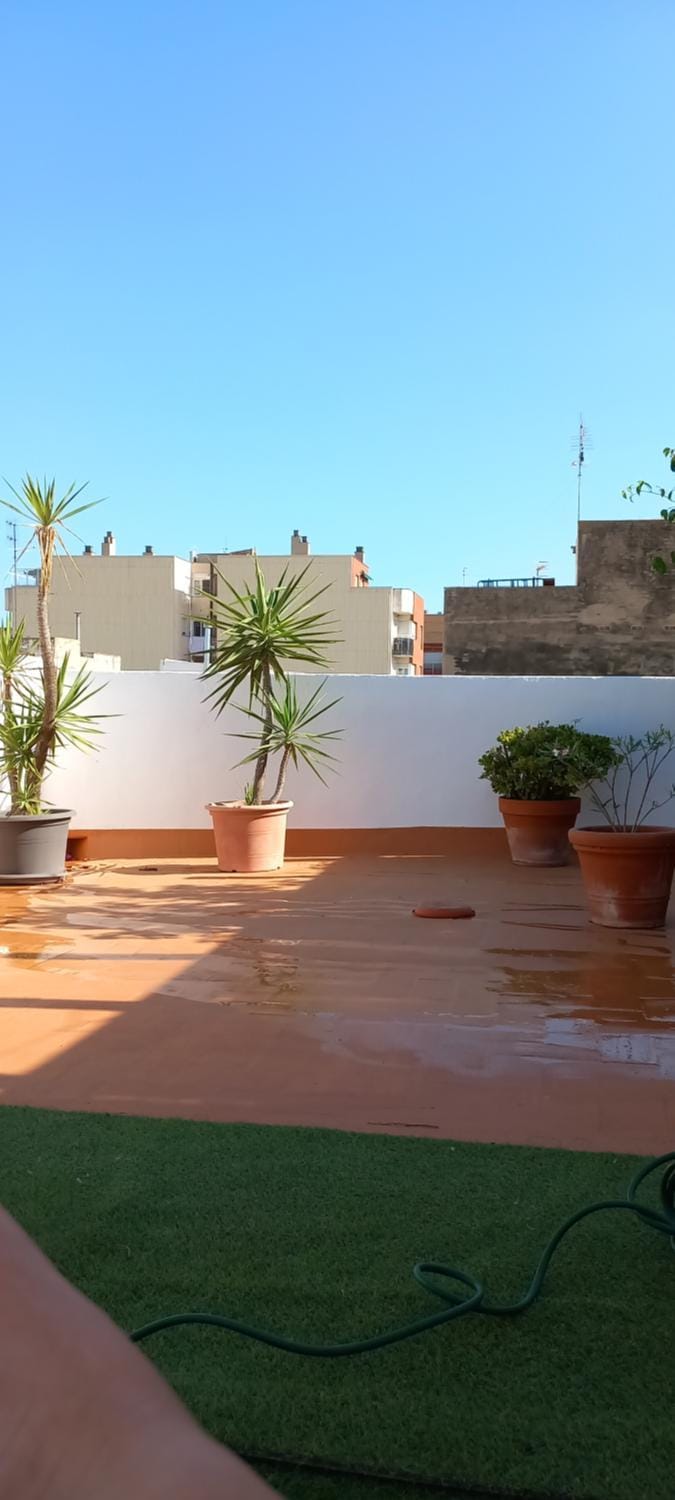 Salicornia terrassa Apartment in Montsià