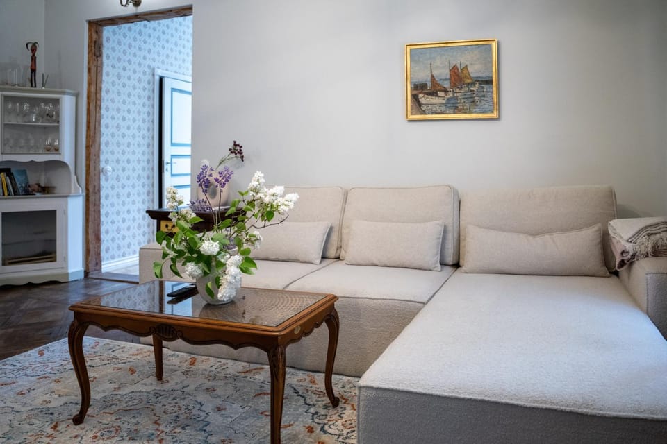 Spacious Supeluse Apartment Apartment in Estonia