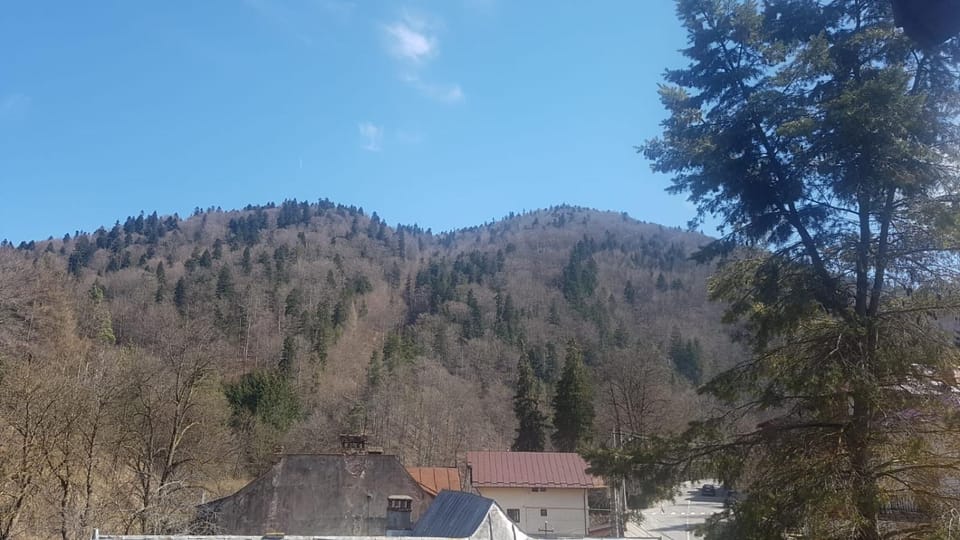Apartament GreenStar Apartment in Sinaia